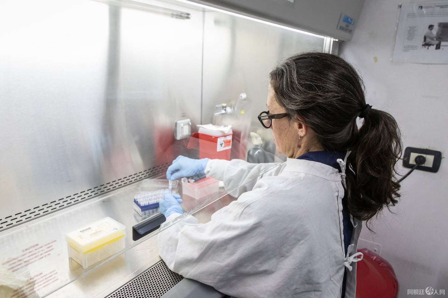 el-anlis-malbran-puso-a-disposicion-recursos-y-capacidad-tecnica-para-investigar-el-brote-de-hantavirus-en-ushuaia-foto-anlis-malbran-AVPO7TEMKVCPDAYL2JXNBUCUCU