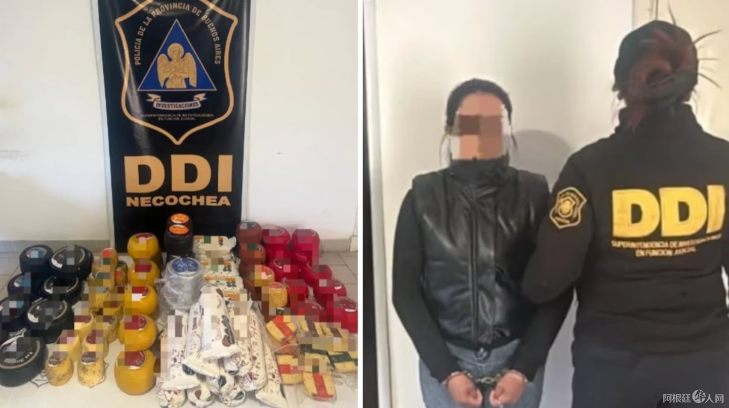 la-policia-secuestro-95-piezas-de-queso-durante-un-allanamiento-realizado-en-quequen-foto-policia-de-la-provincia-de-buenos-aires-T2R3KWF4BJGCBG2Y56YYGDEJ54